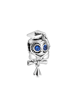 Wise Owl Graduation Charm