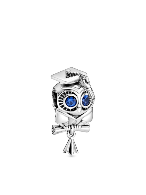 Wise Owl Graduation Charm