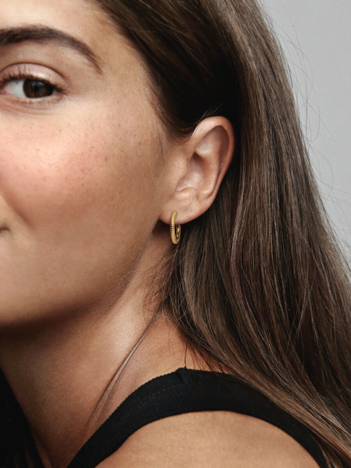 Pandora Moments Small Charm Hoop Earrings - Image 4