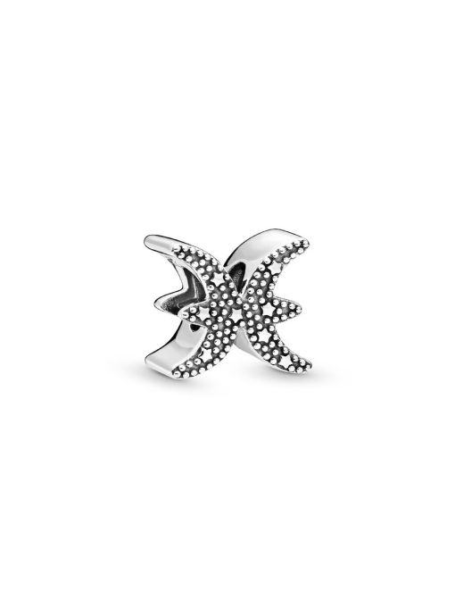 Sparkling Pisces Zodiac Charm - Image 5
