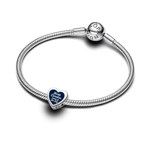 NC Land of Sky Charm - Image 3