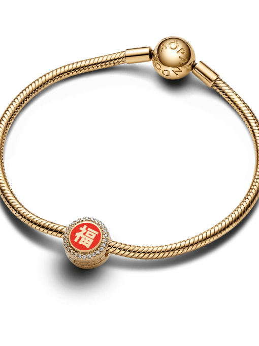 Chinese Fortune & Prosperity Charm - Image 3