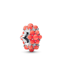 Coral-colored Ocean Charm
