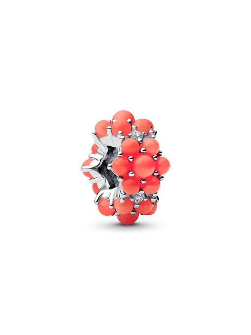 Coral-colored Ocean Charm