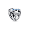 FINAL SALE - Marvel Guardians of the Galaxy Rocket Raccoon & Groot Emblem Charm