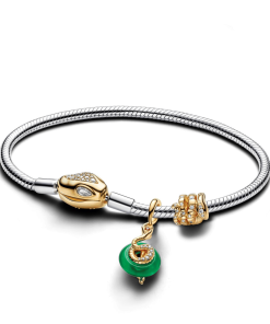 Lunar New Year Snake Clasp & Chain Charm Bracelet Set