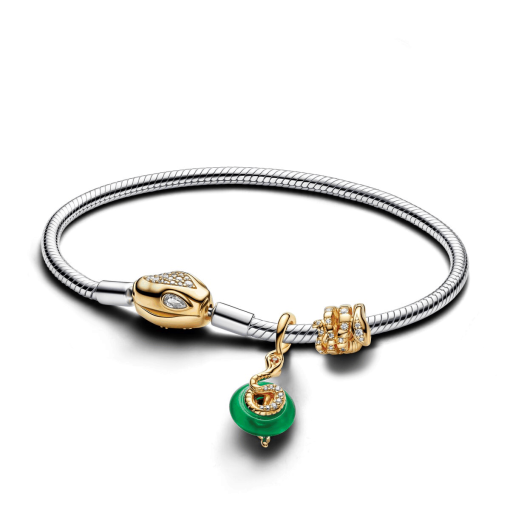 Lunar New Year Snake Clasp & Chain Charm Bracelet Set