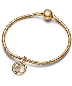 Aquarius Zodiac Dangle Charm Bracelet Set