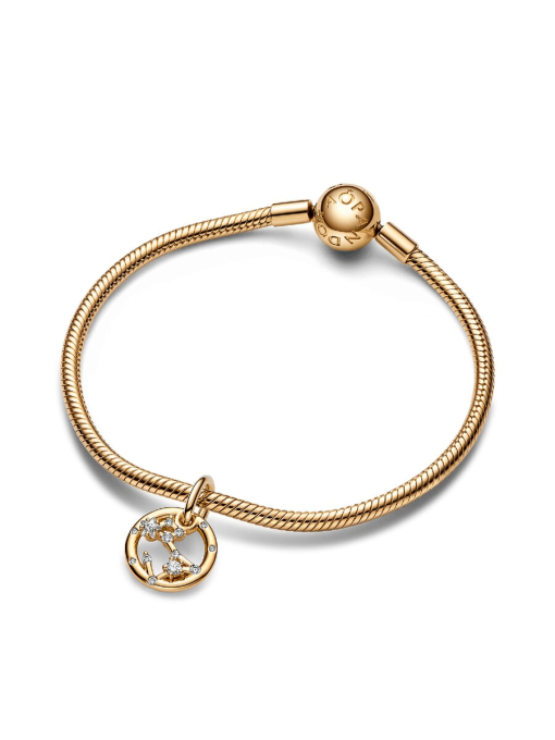 Pisces Zodiac Dangle Charm Bracelet Set