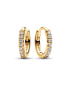 Sparkling Huggie Hoop Earrings