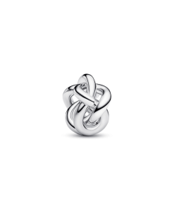 Infinity Knot Charm