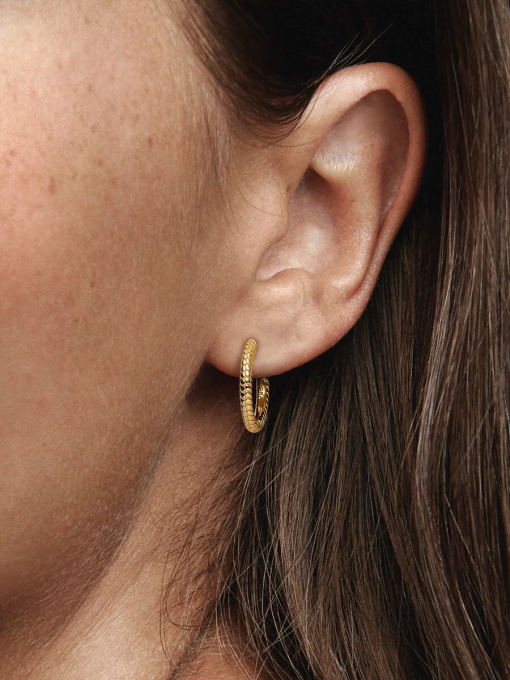 Pandora Moments Small Charm Hoop Earrings - Image 2