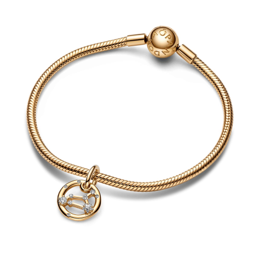 Leo Zodiac Dangle Charm Bracelet Set - Image 2