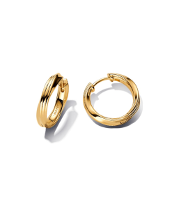 Twisted Hoop Earrings