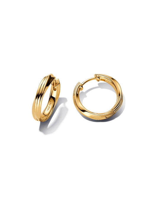 Twisted Hoop Earrings