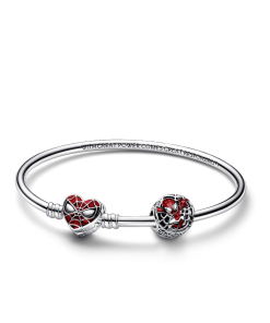 Marvel Spider Man Charm and Bangle Set