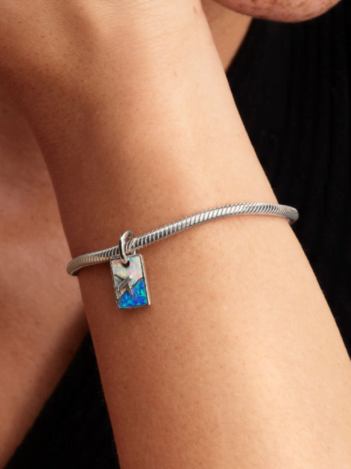 Travel Dangle Charm - Image 2