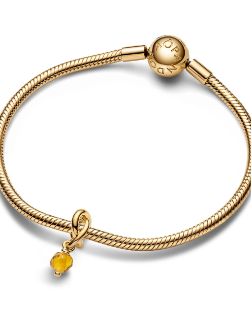 Faceted Honey Eternity Circle Dangle Charm - Image 4