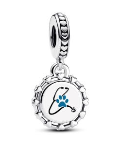 Engravable Veterinarian Dangle Charm