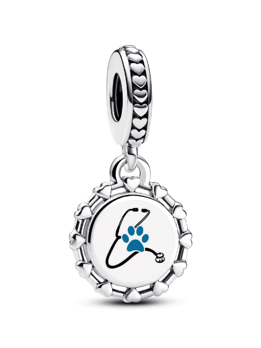 Engravable Veterinarian Dangle Charm