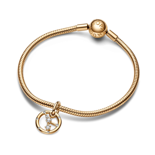 Cancer Zodiac Dangle Charm Bracelet Set