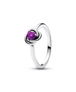 February Purple Eternity Circle Ring
