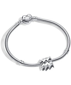 Aquarius Zodiac Charm Bracelet Set