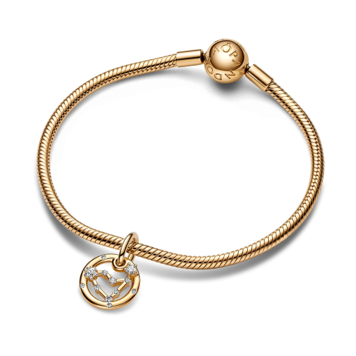 Capricorn Zodiac Dangle Charm Bracelet Set - Image 2
