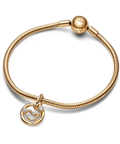 Capricorn Zodiac Dangle Charm Bracelet Set