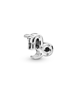 Sparkling Capricorn Zodiac Charm