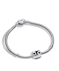 Cancer Zodiac Charm Bracelet Set