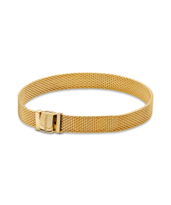 FINAL SALE - Pandora Reflexions Mesh Bracelet