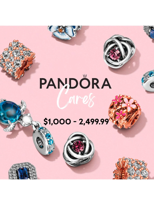 Pandora Care 1000 to 2499.99