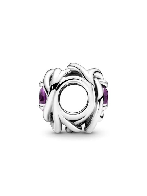 February Purple Eternity Circle Charm - Image 7