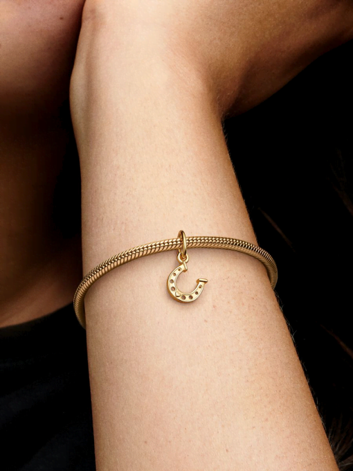Lucky Horseshoe Dangle Charm - Image 2