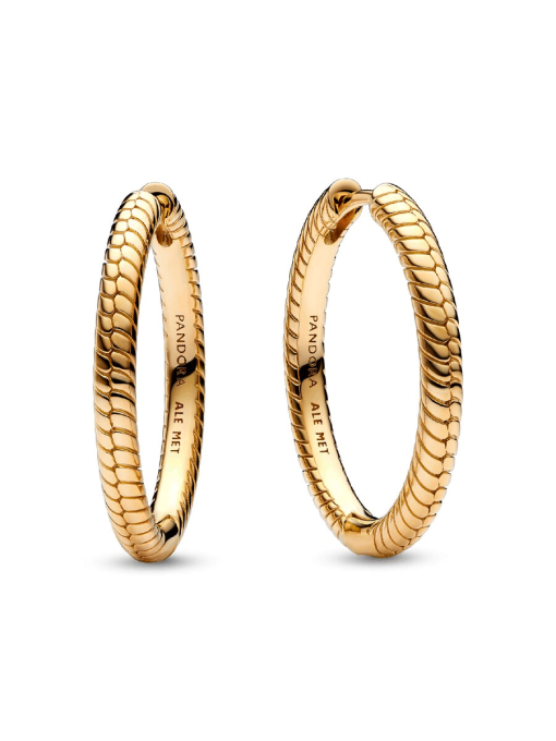 Pandora Moments Charm Hoop Earrings - Image 3