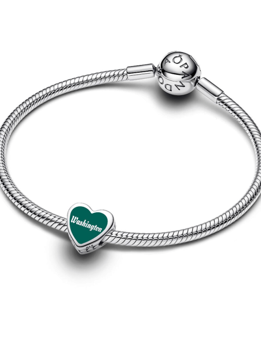 Washington State Scene Heart Charm - Image 4