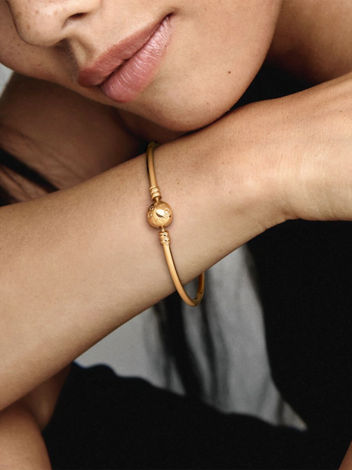Pandora Moments Bangle - Image 2
