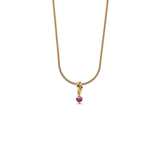 February Eternity Circle Dangle Charm Necklace Set