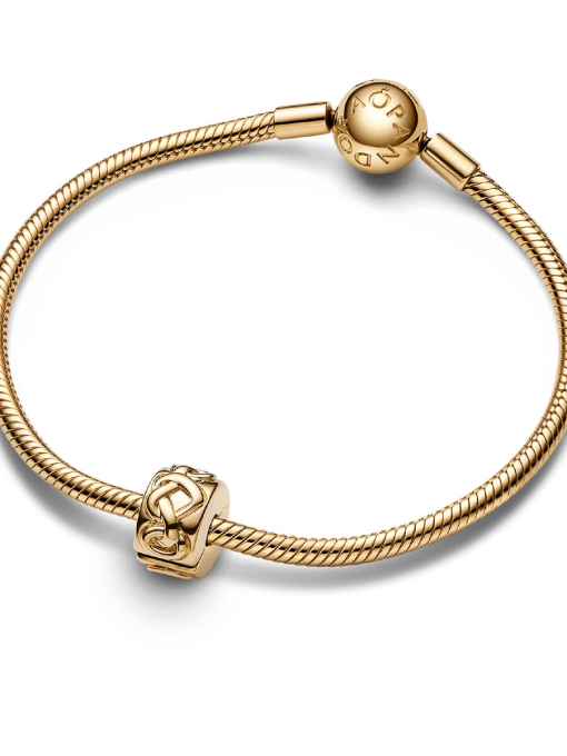 Knotted Hearts Clip Charm - Image 5