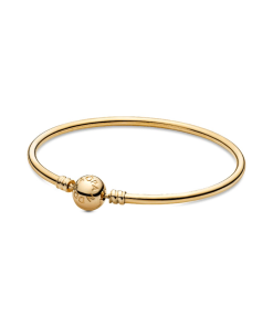 Pandora Moments Bangle
