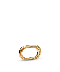 Pandora ME Rectangular Openable Link