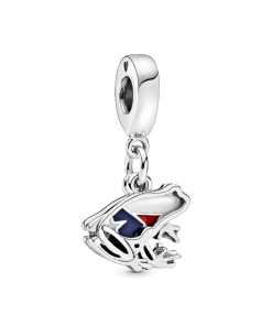 Puerto Rico Frog Dangle Charm