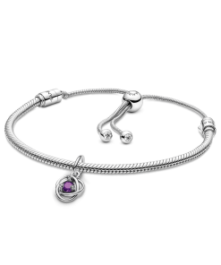February Eternity Circle Dangle Charm Bracelet Set