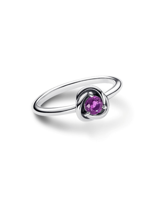February Purple Eternity Circle Ring - Image 5
