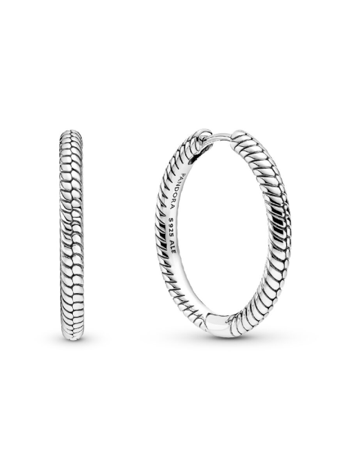 Pandora Moments Charm Hoop Earrings - Image 3