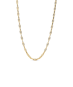 Anchor Chain Necklace