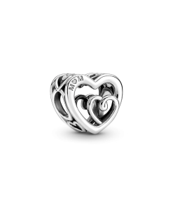 Entwined Infinite Hearts Charm