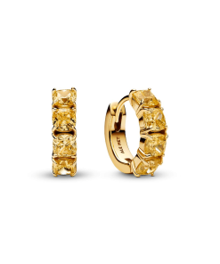 Yellow Hoop Earrings