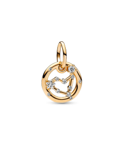 Capricorn Zodiac Dangle Charm